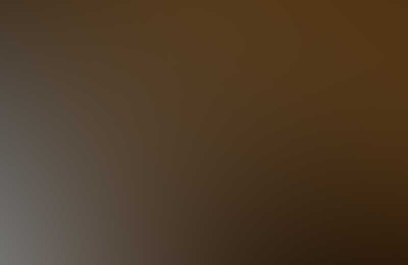  Bootstrap Template by xlgroupusa.com