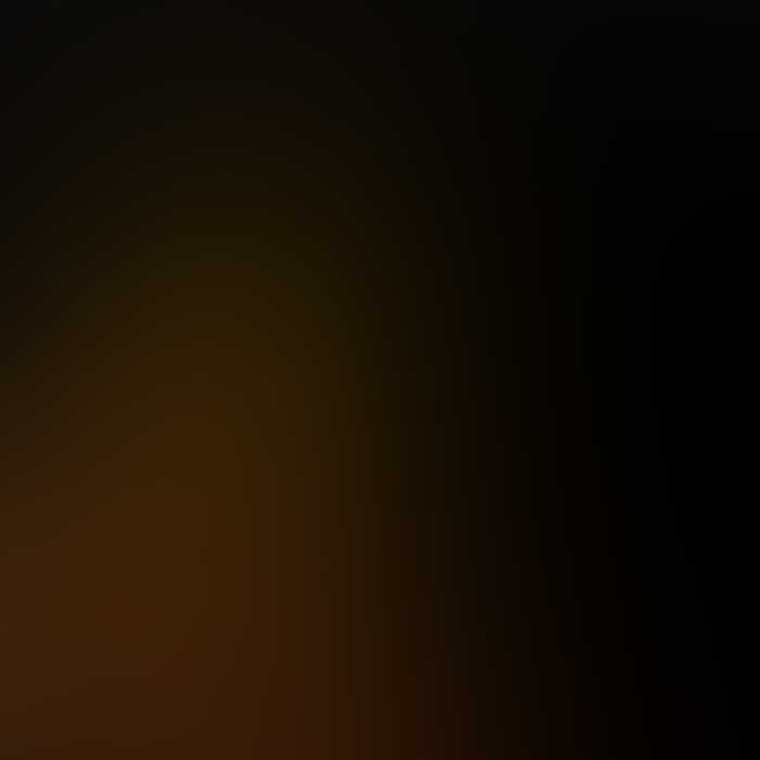  Template by XL Group